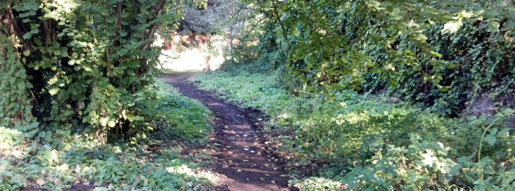woods park